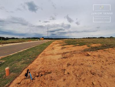 imagem-miniatura